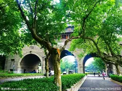 麻将胡了官方下载 -?麧挹{j 